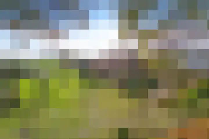 P.W. Janssenlaan 28 Vledderveen thumbnail 4