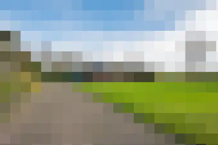 P.W. Janssenlaan 28 Vledderveen thumbnail 42