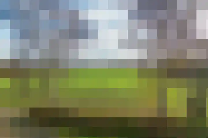 P.W. Janssenlaan 28 Vledderveen thumbnail 43