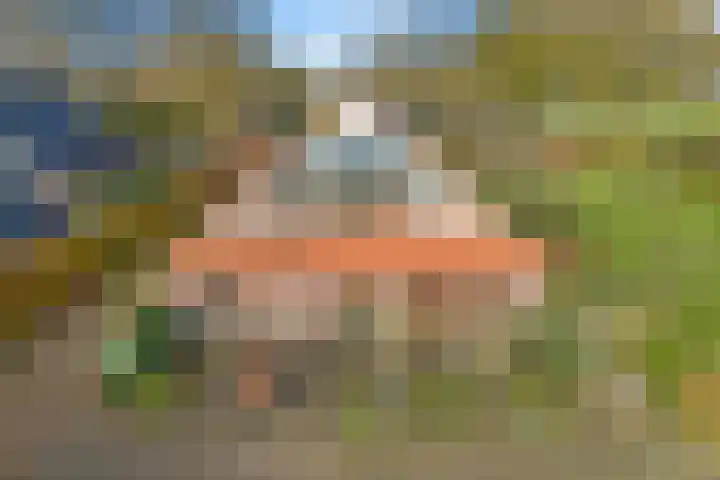 P.W. Janssenlaan 28 Vledderveen thumbnail 46
