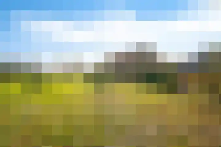P.W. Janssenlaan 28 Vledderveen thumbnail 47