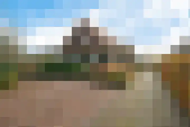 P.W. Janssenlaan 28 Vledderveen thumbnail 48