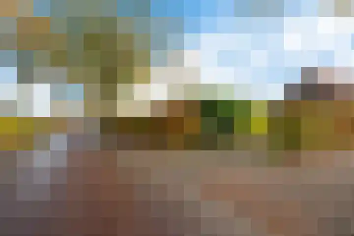 P.W. Janssenlaan 28 Vledderveen thumbnail 49