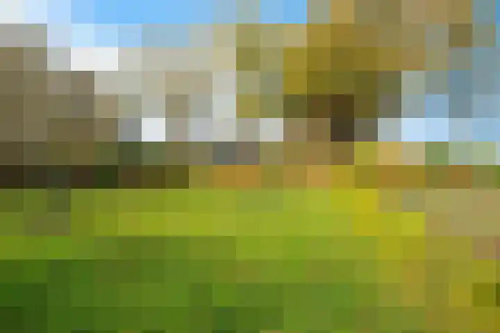 P.W. Janssenlaan 28 Vledderveen thumbnail 50