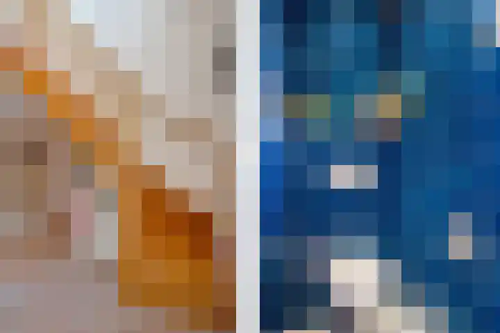 P.W. Janssenlaan 28 Vledderveen thumbnail 6