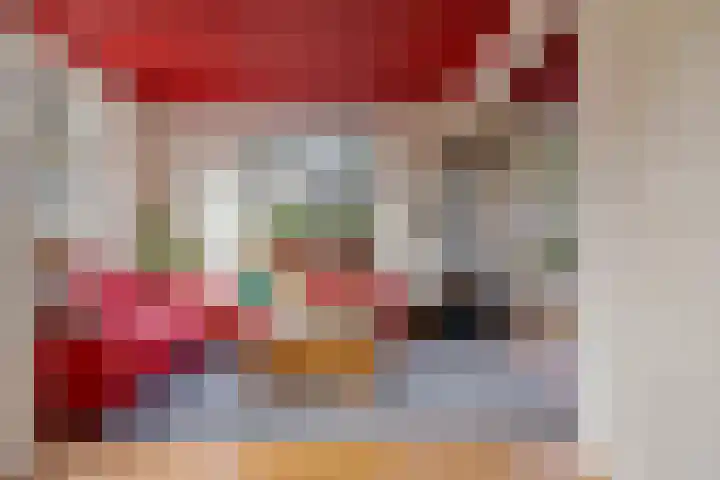 P.W. Janssenlaan 28 Vledderveen thumbnail 7
