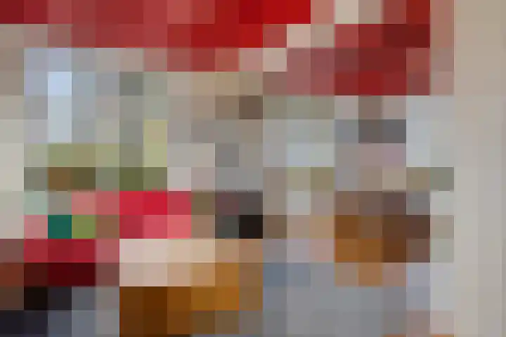 P.W. Janssenlaan 28 Vledderveen thumbnail 8