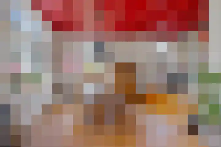 P.W. Janssenlaan 28 Vledderveen thumbnail 9