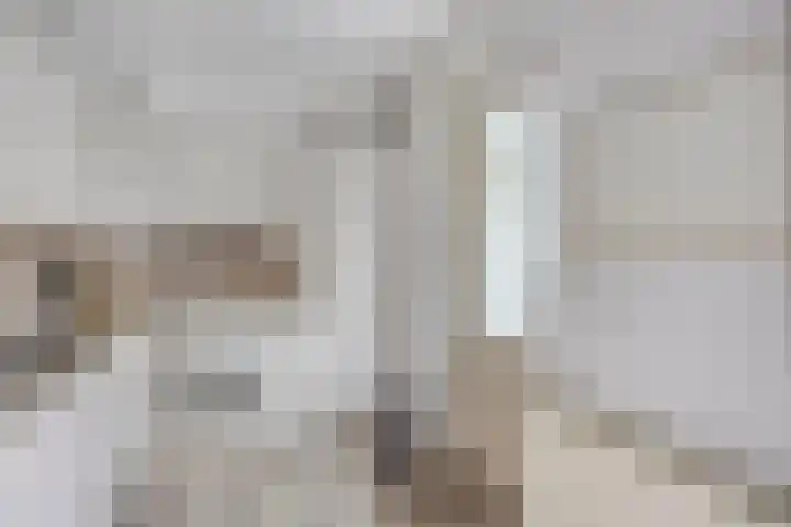 P.W. Janssenlaan 8 Vledderveen thumbnail 11