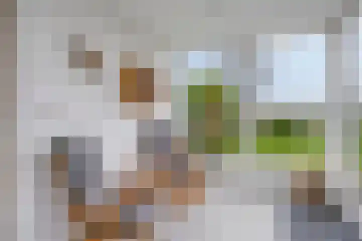 P.W. Janssenlaan 8 Vledderveen thumbnail 12