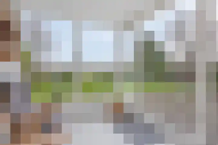 P.W. Janssenlaan 8 Vledderveen thumbnail 13