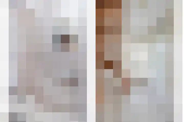 P.W. Janssenlaan 8 Vledderveen thumbnail 14
