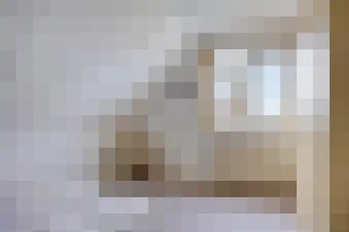 P.W. Janssenlaan 8 Vledderveen thumbnail 18