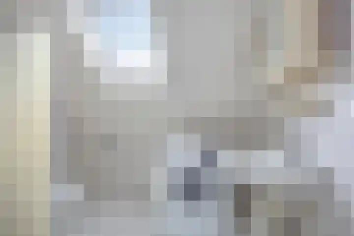 P.W. Janssenlaan 8 Vledderveen thumbnail 20