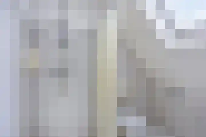 P.W. Janssenlaan 8 Vledderveen thumbnail 21