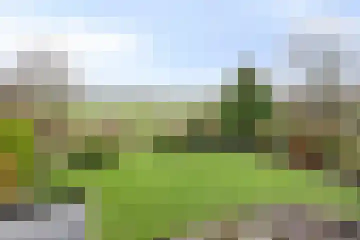 P.W. Janssenlaan 8 Vledderveen thumbnail 22