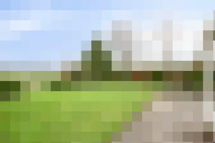 P.W. Janssenlaan 8 Vledderveen thumbnail 23