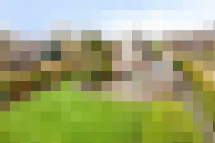 P.W. Janssenlaan 8 Vledderveen thumbnail 24
