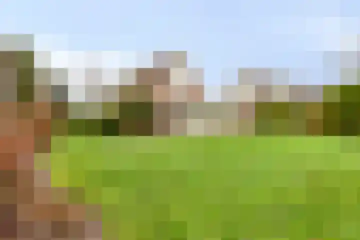 P.W. Janssenlaan 8 Vledderveen thumbnail 25