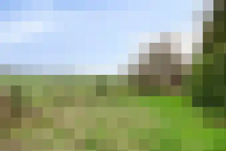 P.W. Janssenlaan 8 Vledderveen thumbnail 26
