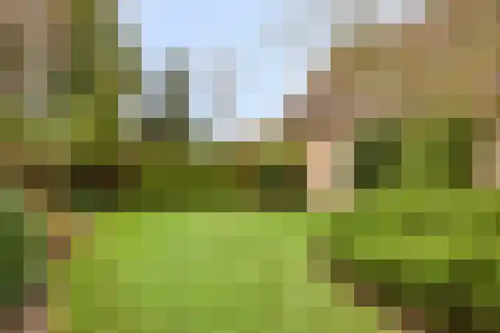 P.W. Janssenlaan 8 Vledderveen thumbnail 27