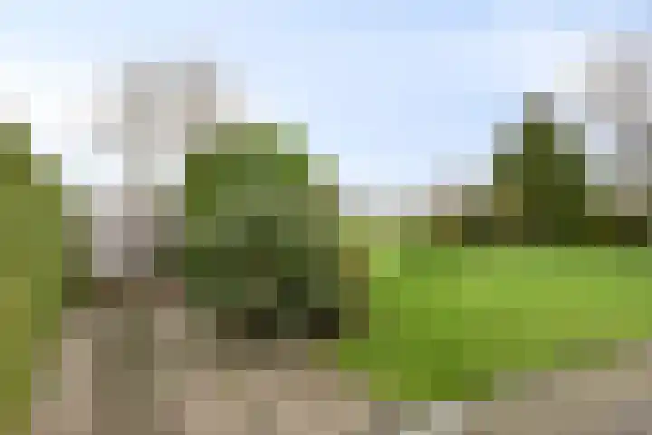 P.W. Janssenlaan 8 Vledderveen thumbnail 28