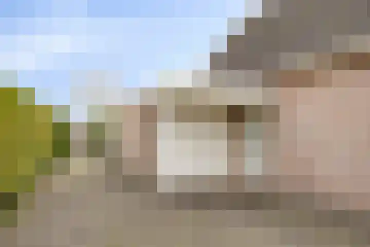 P.W. Janssenlaan 8 Vledderveen thumbnail 29