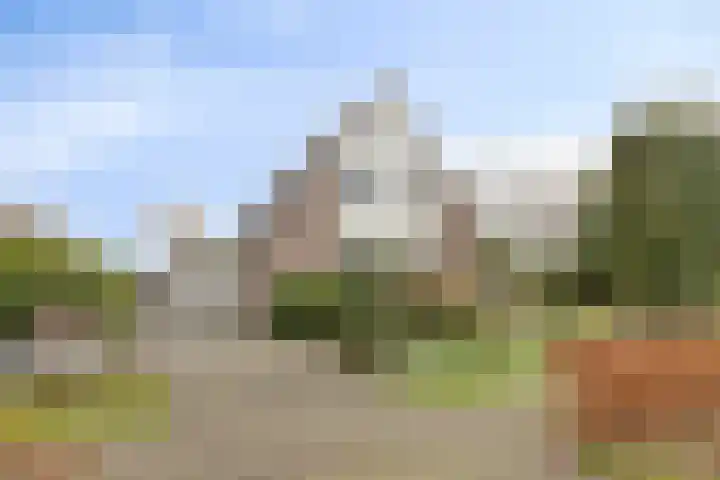P.W. Janssenlaan 8 Vledderveen thumbnail 30