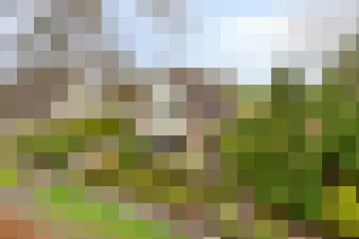 P.W. Janssenlaan 8 Vledderveen thumbnail 31