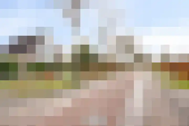 P.W. Janssenlaan 8 Vledderveen thumbnail 32
