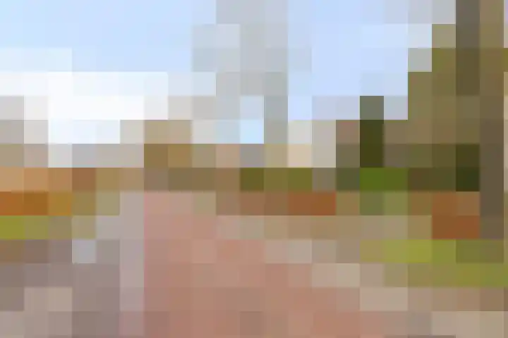 P.W. Janssenlaan 8 Vledderveen thumbnail 33