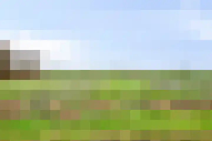 P.W. Janssenlaan 8 Vledderveen thumbnail 4