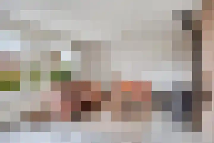 P.W. Janssenlaan 8 Vledderveen thumbnail 6
