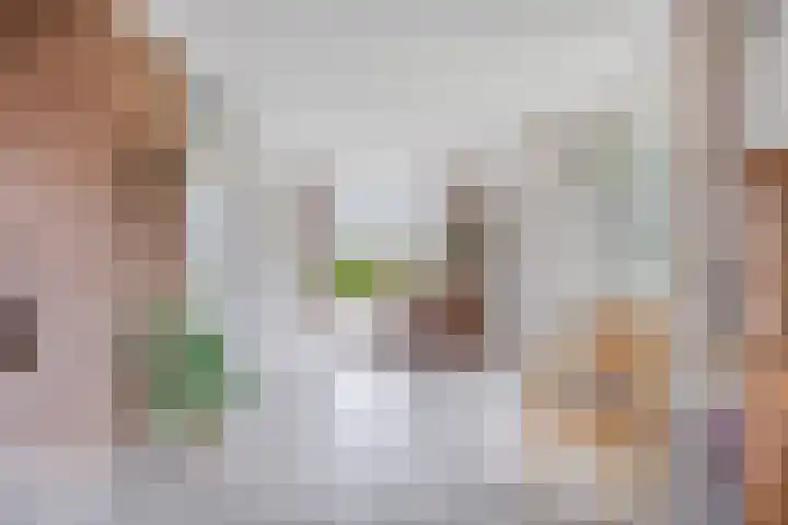 P.W. Janssenlaan 8 Vledderveen thumbnail 8