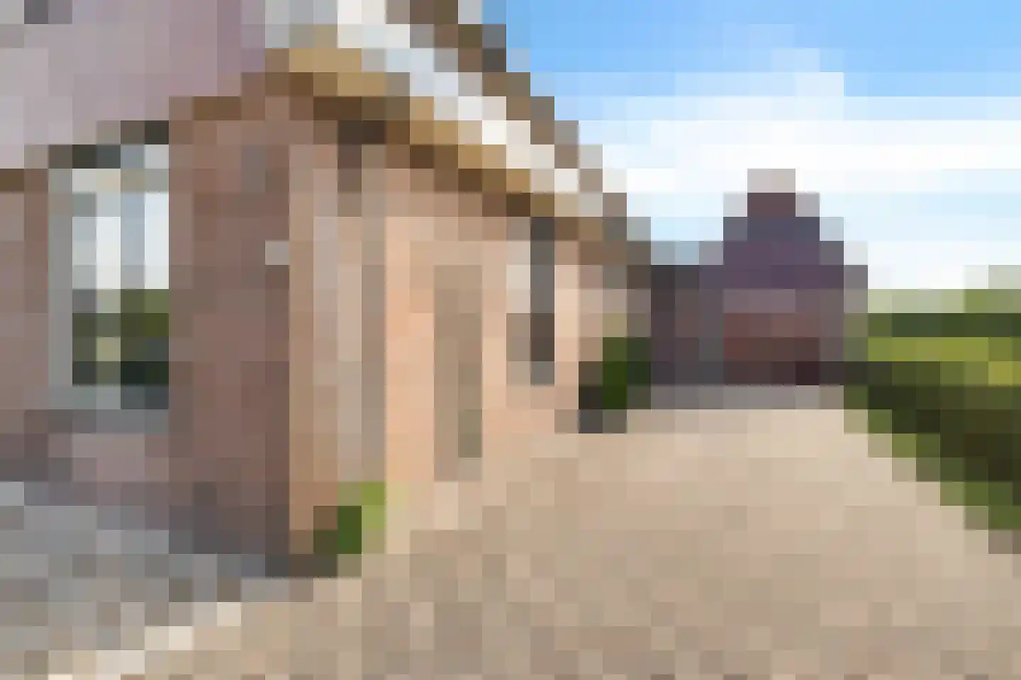 P W Janssenweg 10 Jubbega thumbnail 12