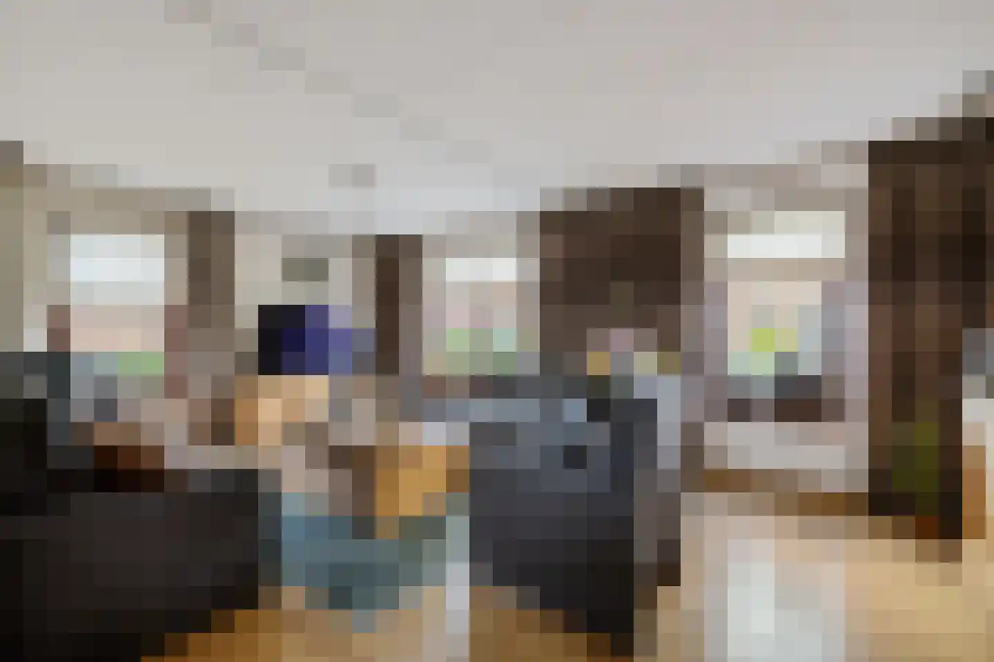 P W Janssenweg 10 Jubbega thumbnail 17
