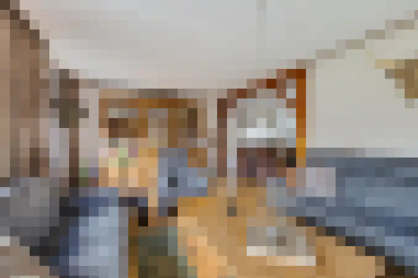 P W Janssenweg 10 Jubbega thumbnail 18
