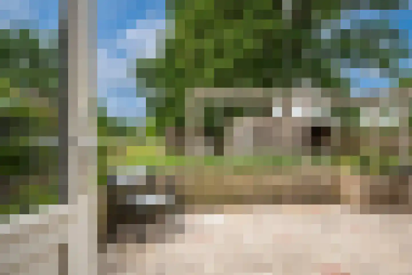 P W Janssenweg 13 Jubbega thumbnail 5
