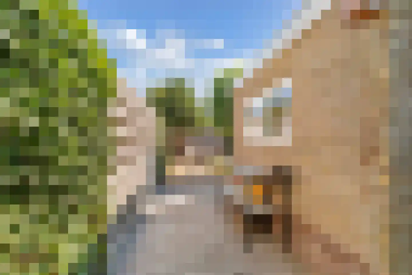 P W Janssenweg 18 Jubbega thumbnail 41
