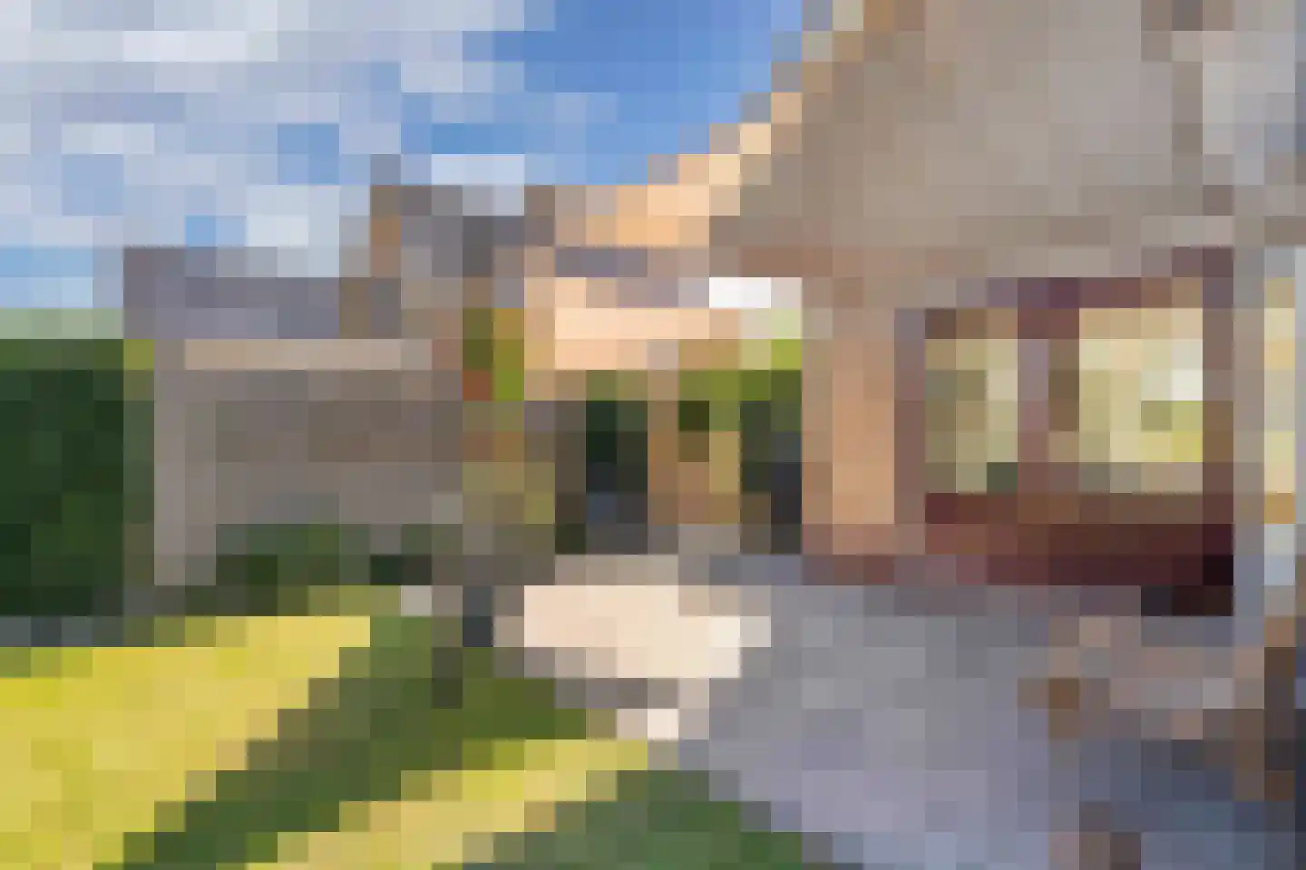 P W Janssenweg 18 Jubbega thumbnail 45