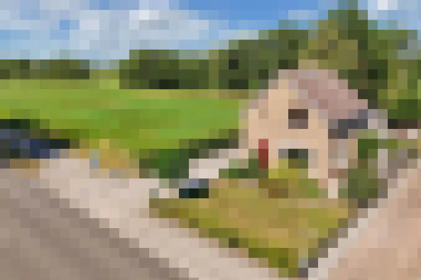 P W Janssenweg 18 Jubbega thumbnail 50