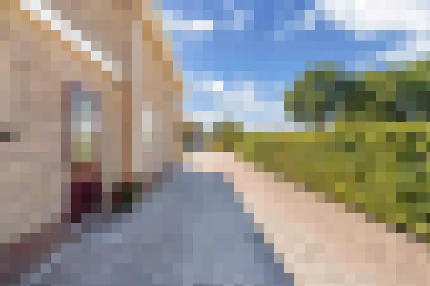 P W Janssenweg 18 Jubbega thumbnail 6