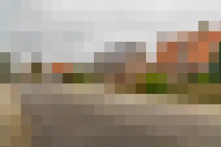P W Janssenweg 7 Jubbega thumbnail 18