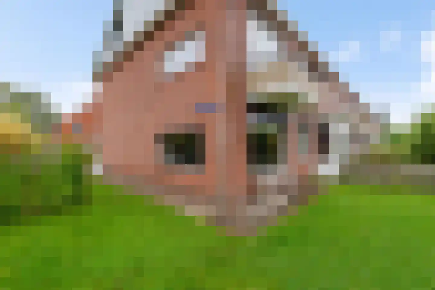 P. Waijerstraat 36 Groningen thumbnail 26