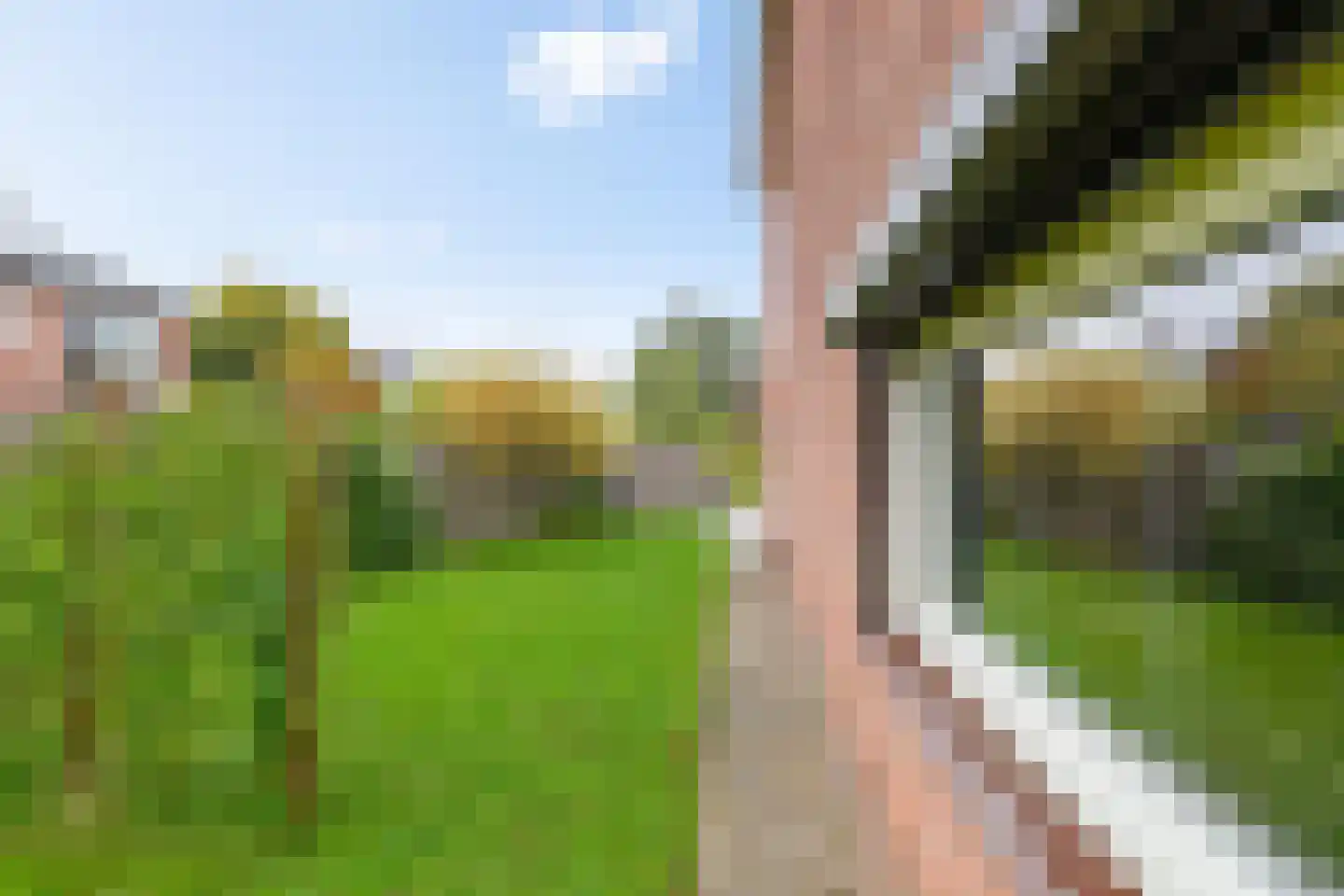 P. Waijerstraat 36 Groningen thumbnail 27