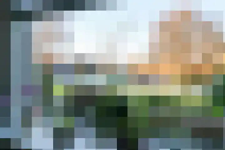 P.Walmastrjitte 23 Oppenhuizen thumbnail 16
