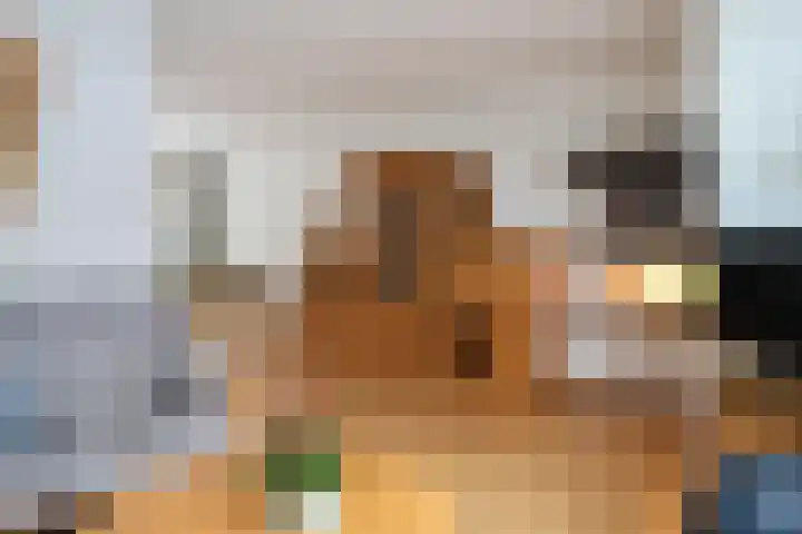 P.Walmastrjitte 23 Oppenhuizen thumbnail 17