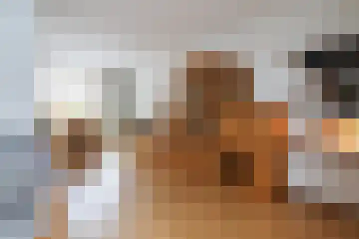 P.Walmastrjitte 23 Oppenhuizen thumbnail 18