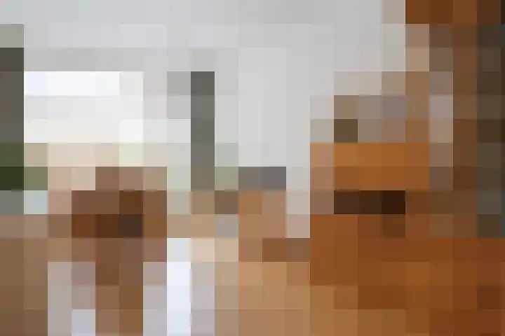 P.Walmastrjitte 23 Oppenhuizen thumbnail 20