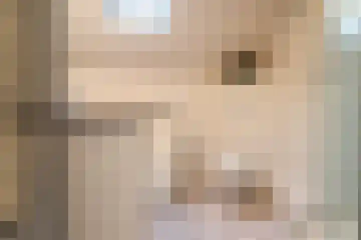 P.Walmastrjitte 23 Oppenhuizen thumbnail 42